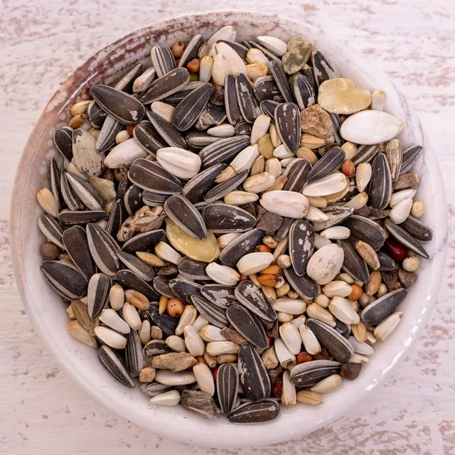 rico-s-graupapagei-spezial-2-k-rnerfutter-1-kg image 1