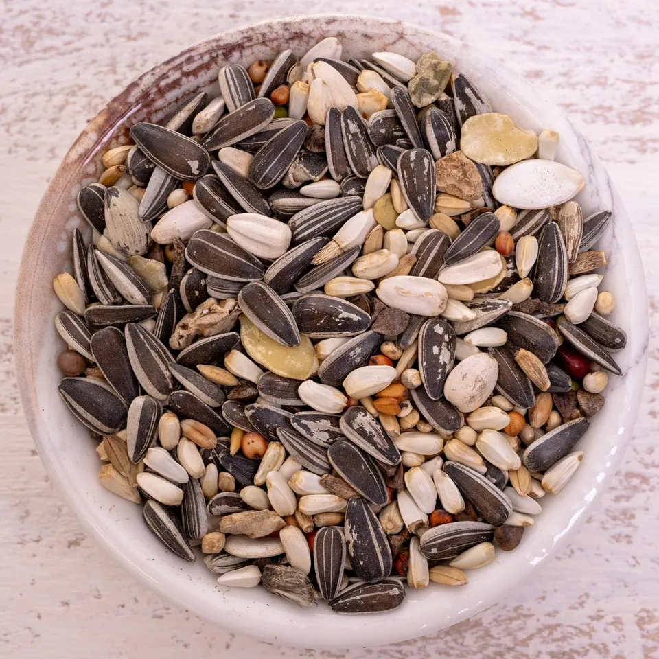 rico-s-graupapagei-spezial-2-k-rnerfutter-1-kg image 1