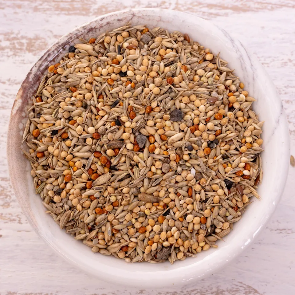 rico-s-futterkiste-gro-sittich-nymphensittichfutter-1-kg-o-sonnenbl image 1