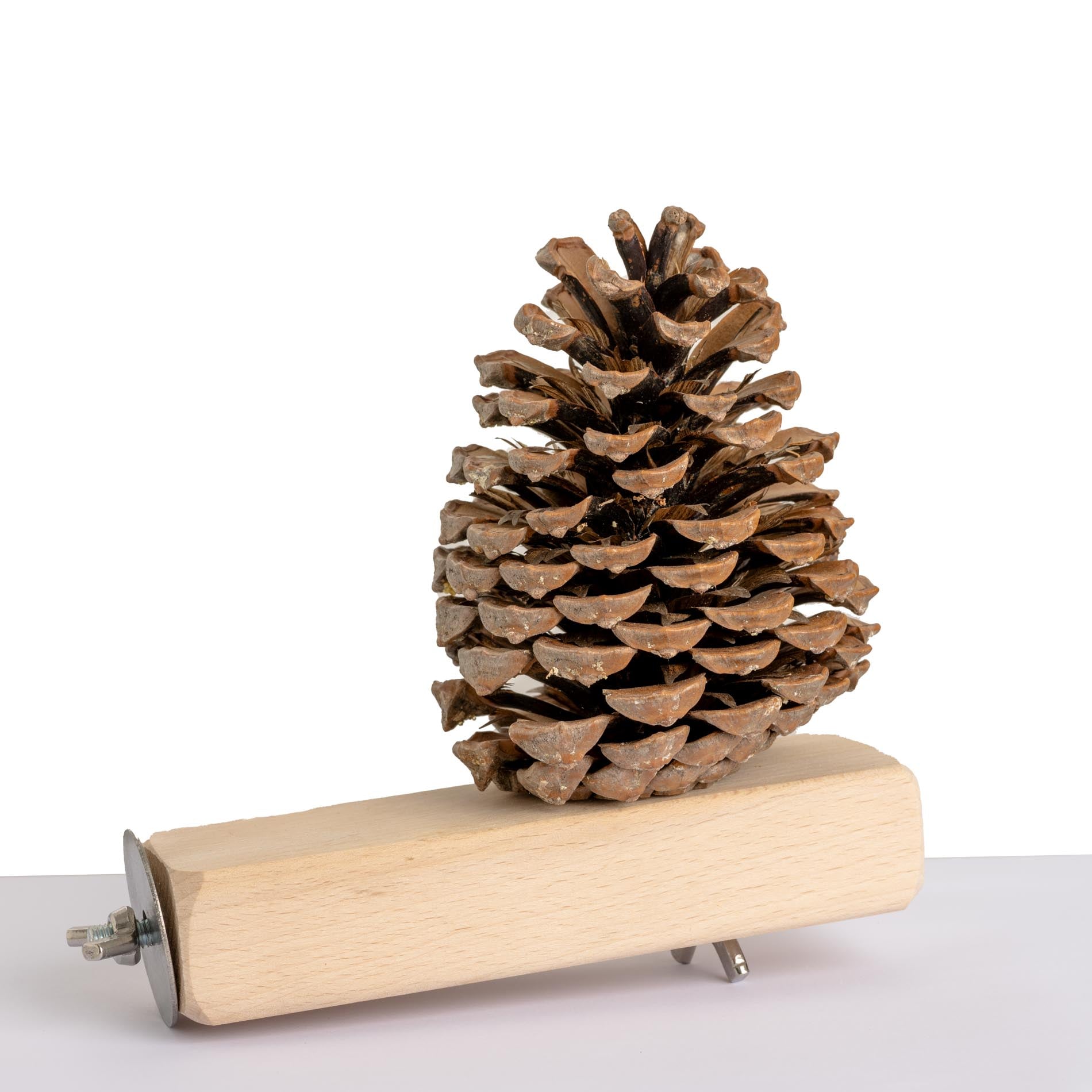 rico-s-futterkiste-jumbo-versteckzapfen-papageienspielzeug-holz image 1