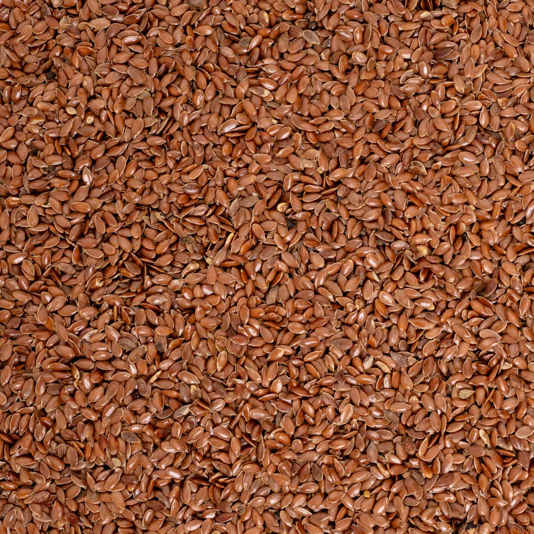 rico-s-futterkiste-leinsaat-vogelfutter-500-g-omega-3 image 2