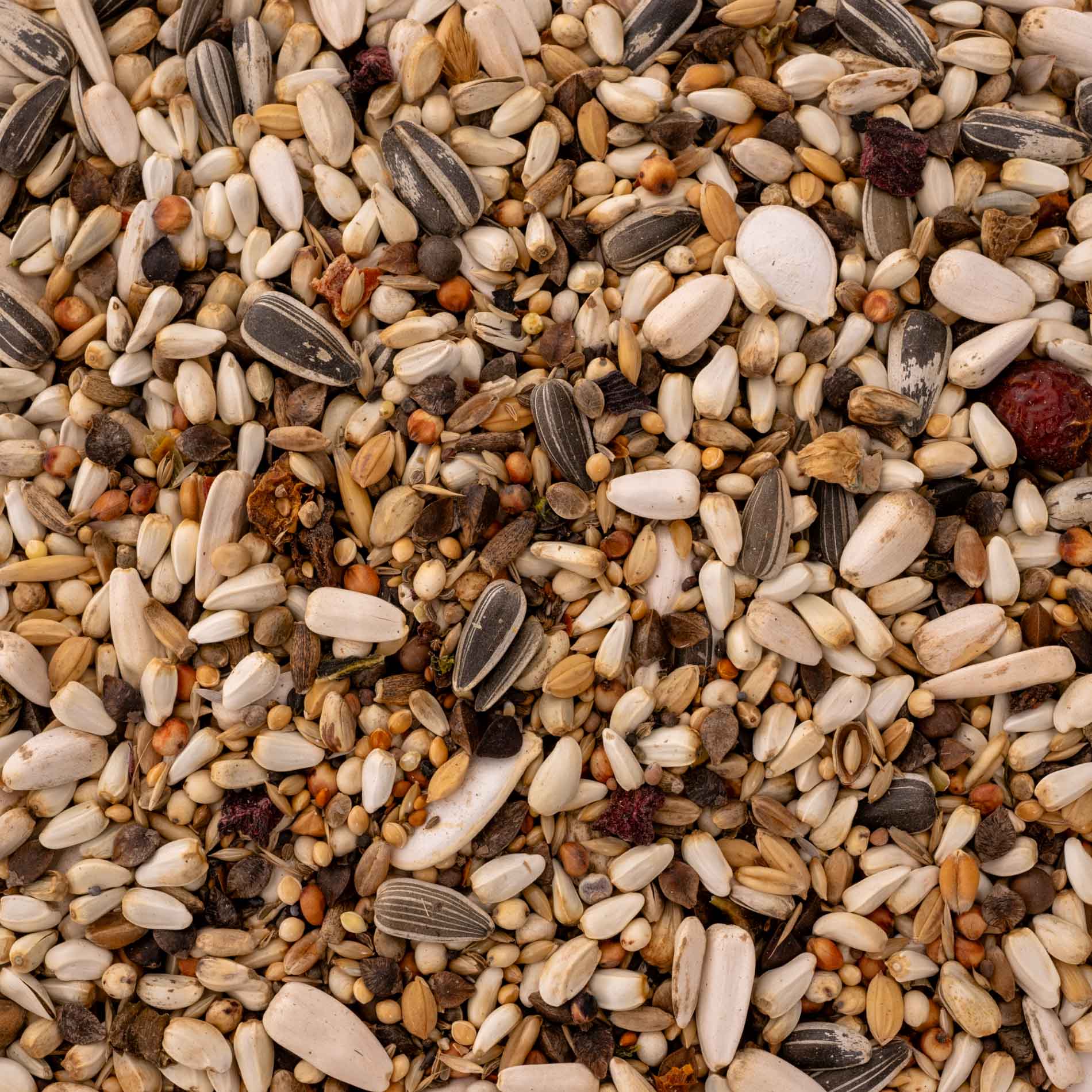 rico-s-futterkiste-edelpapagei-papageienfutter-1-kg-mit-gem-se image 3
