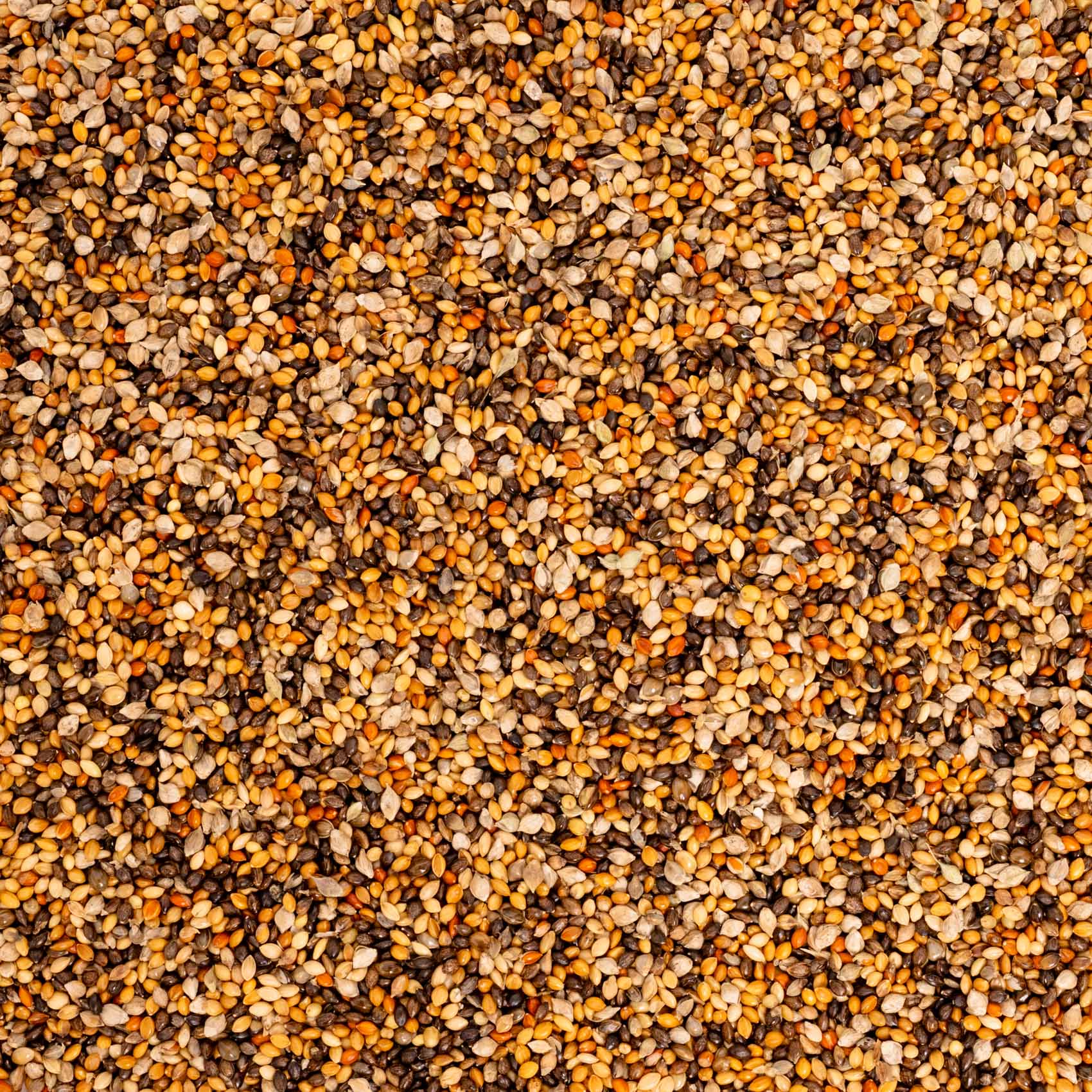 rico-s-futterkiste-mohairhirse-gelb-einzelsaat-vogelfutter-500-g image 2