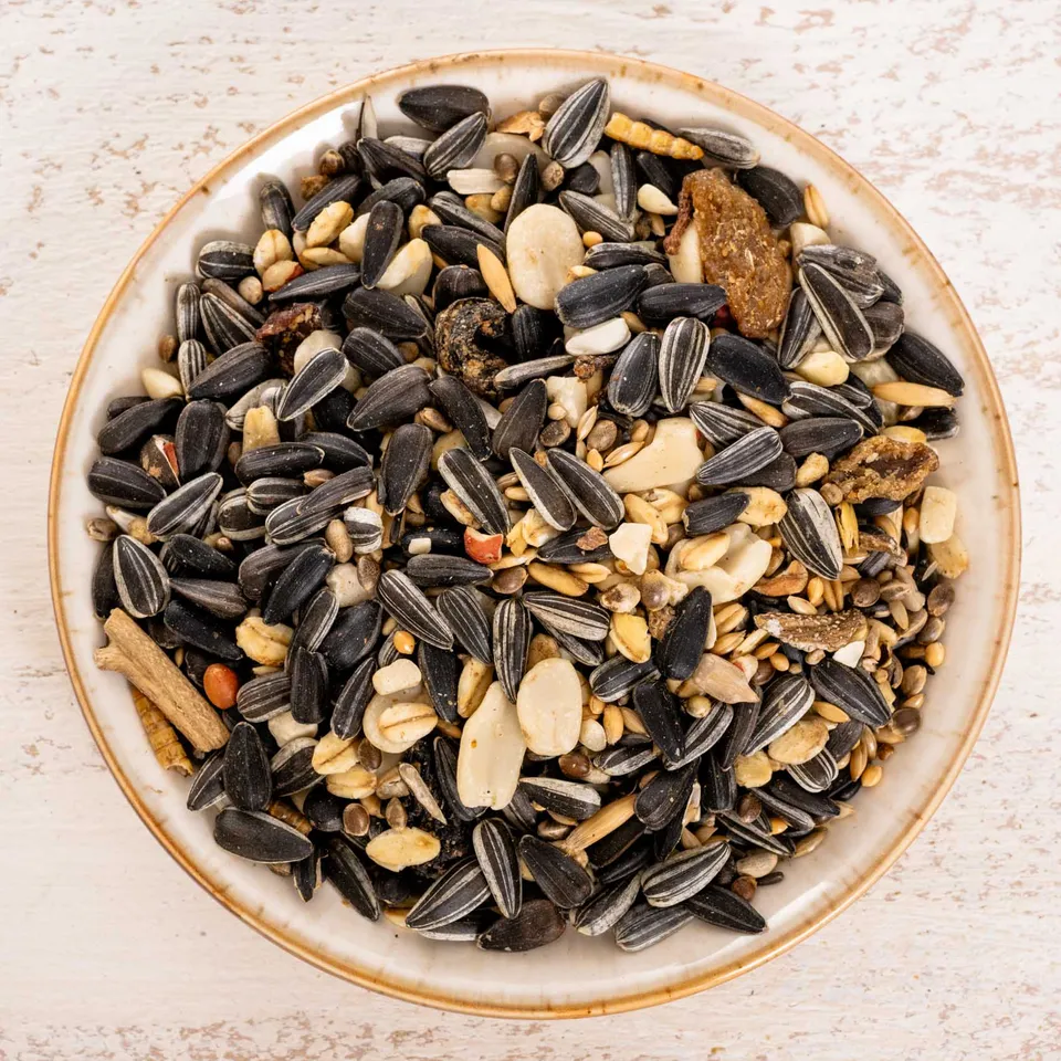 rico-s-futterkiste-wildvogelfutter-premium-vogelfutter-1-kg-ganzjahres image 1