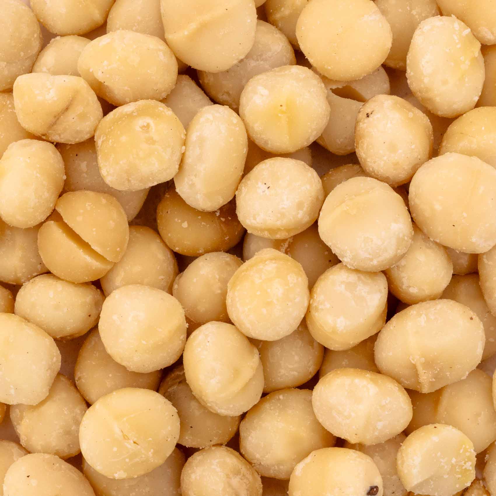 macadamia-nusskerne-papageienfutter-100-g-snack image 2