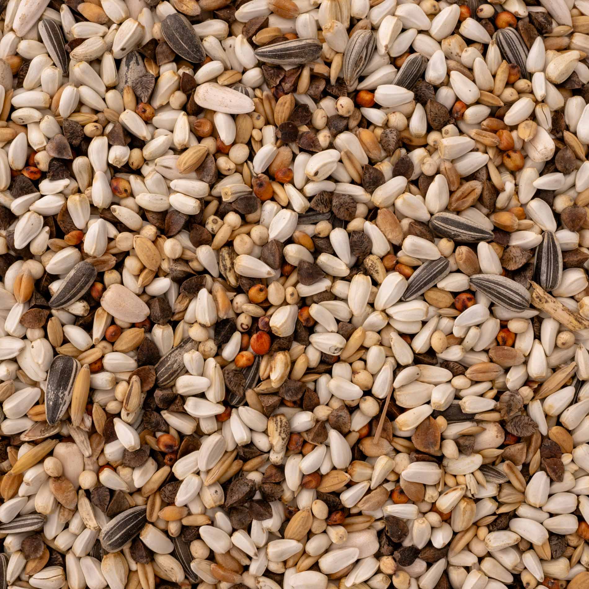 rico-s-futterkiste-amazonen-spezial-1-papageienfutter-1-kg-fettarm image 2